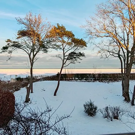 Kronsegler - Sunrise * Breege